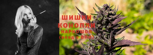 шишки Нефтекумск