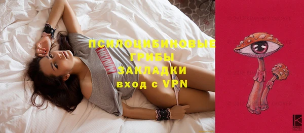 ешки Михайловск
