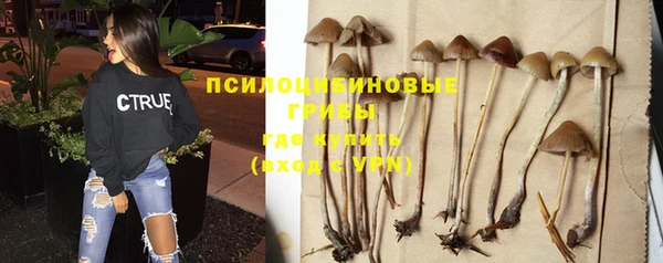 прущие грибы Нефтегорск