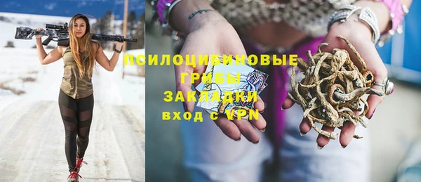 а пвп мука Нея