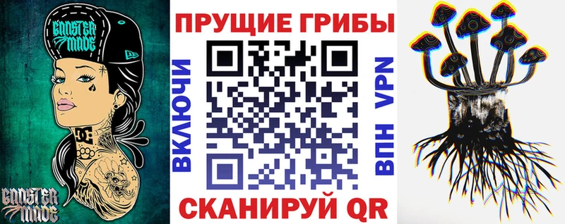 Псилоцибиновые грибы Psilocybine cubensis Астрахань