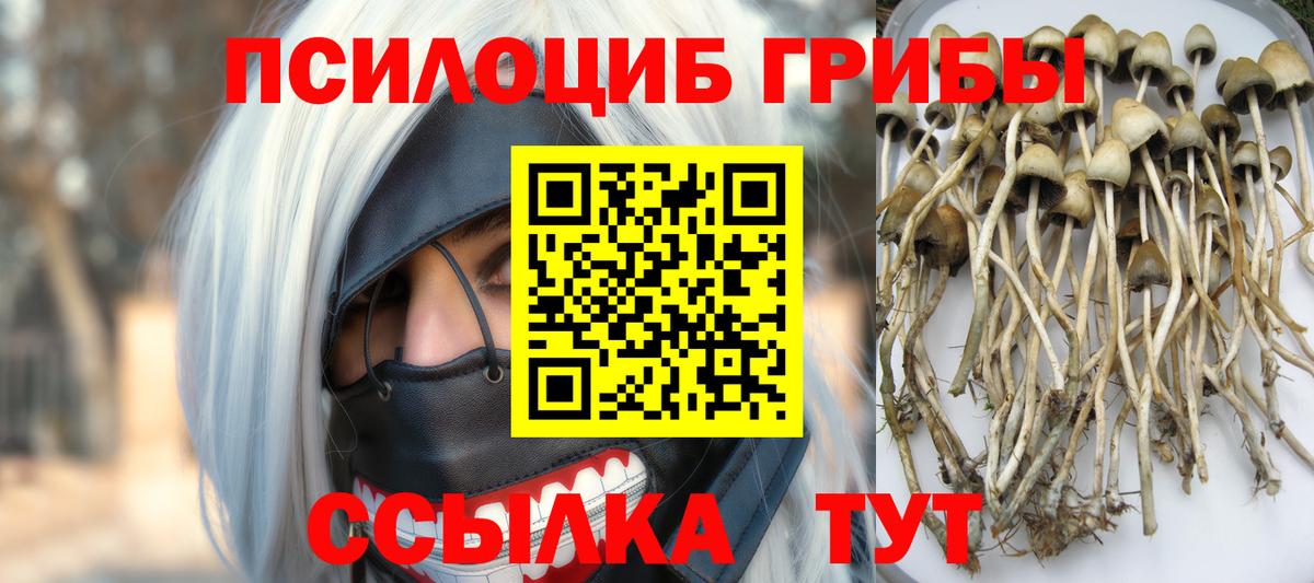 Псилоцибиновые грибы MAGIC MUSHROOMS  Вход с VPN  Галлюциногенные грибы Cubensis  Россия 